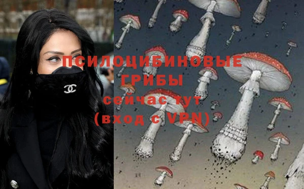 мяу мяу кристалл Алексин