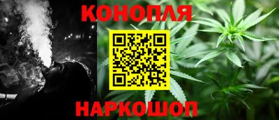 сатива Краснознаменск