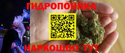 сатива Краснознаменск