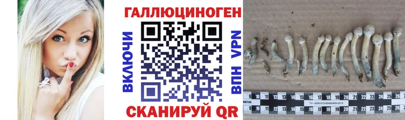 Галлюциногенные грибы ЛСД  hydra ТОР  Заводоуковск 